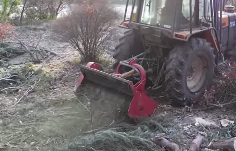 Forêt Plus - Débroussaillage