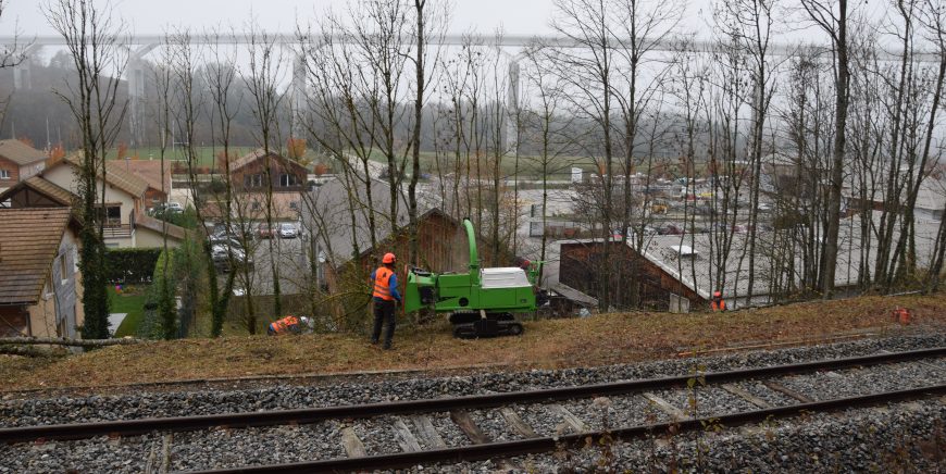 Déchiqueteuse à chenilles