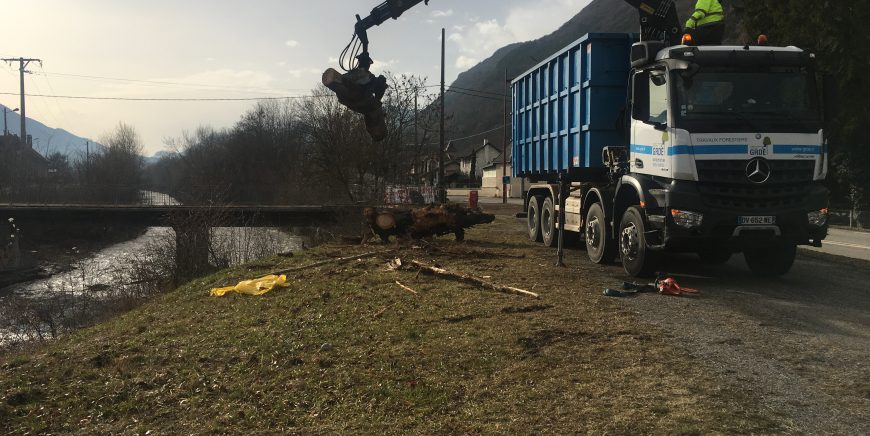 Nos camions forestiers